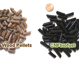 Torrefied Wood Pellets